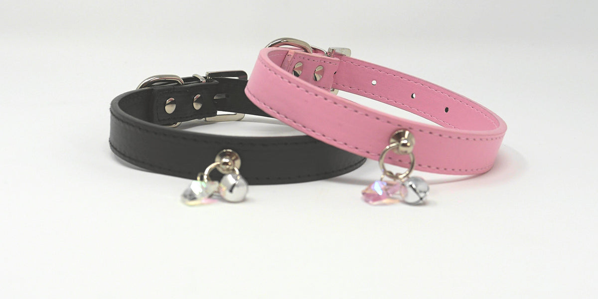 Kitten play collars and leashes shop
